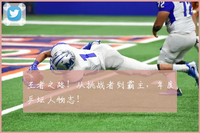 王者之路！从挑战者到霸主，年度乒坛人物志！