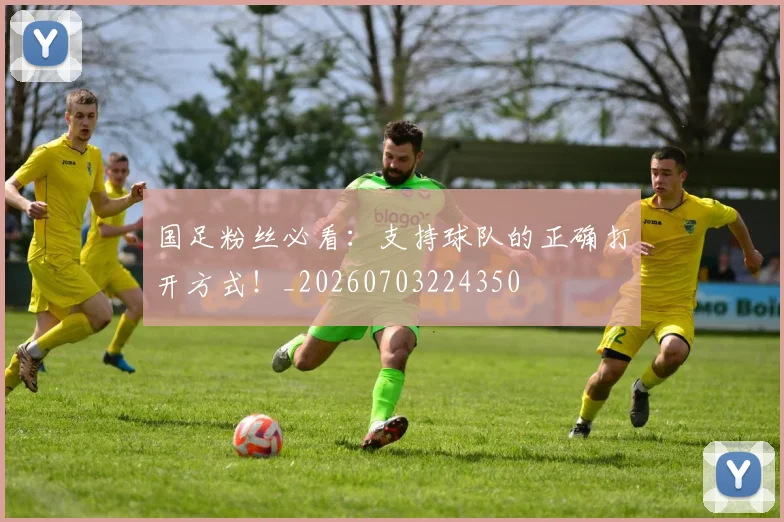 国足粉丝必看:支持球队的正确打开方式!_20260703224350