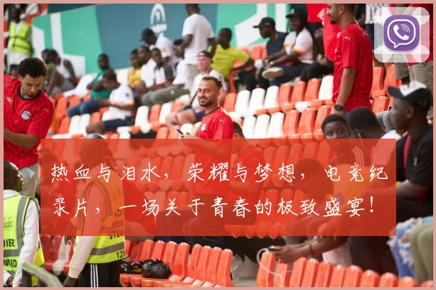 热血与泪水，荣耀与梦想，电竞纪录片，一场关于青春的极致盛宴！