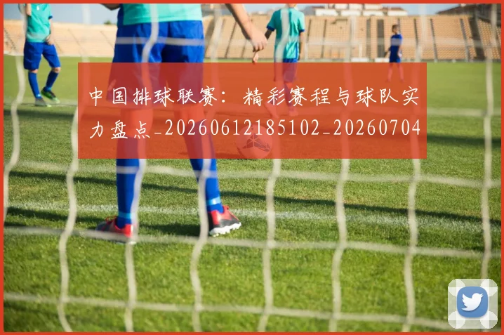 中国排球联赛：精彩赛程与球队实力盘点_20260612185102_20260704163535